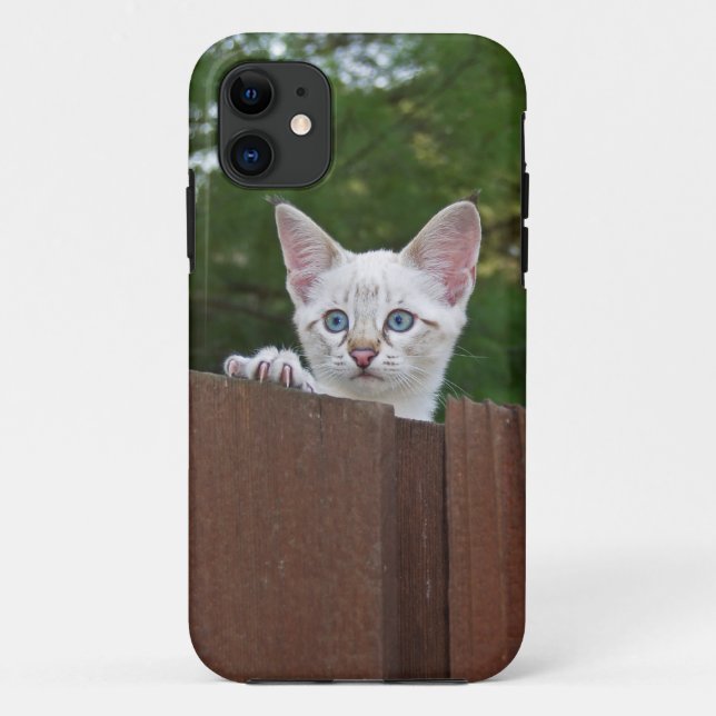 Savannah Cat iPhone 5 Case-Mate Barely Dort Hülle (Rückseite)