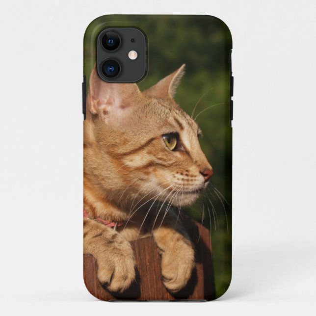 Savannah Cat iPhone 5 Case-Mate iPhone Hülle (Rückseite)