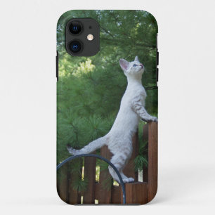 Savannah Cat iPhone 5 Custom Case-Mate-ID title_seo2