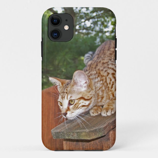 Savannah Cat iPhone 5 Custom Case-Mate-ID Case-Mate iPhone Hülle (Rückseite)