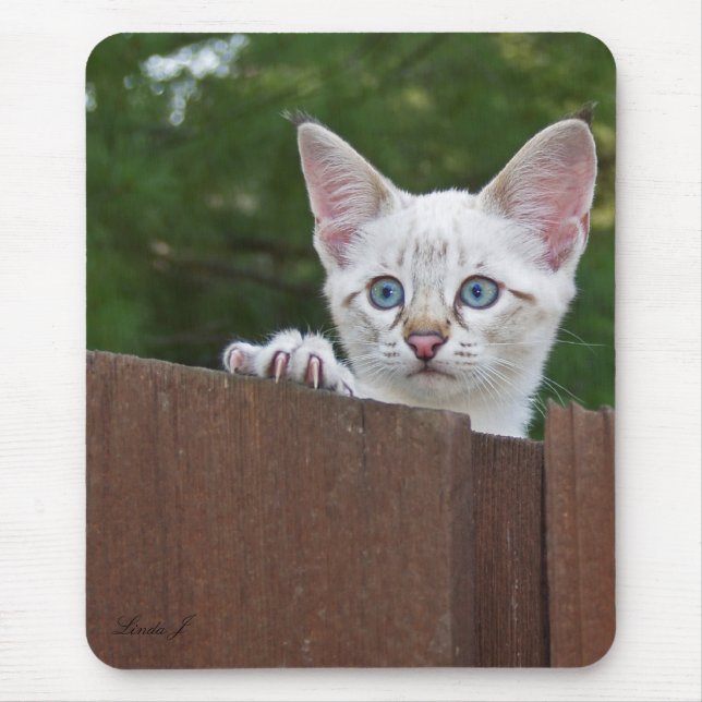 Savannah Cat Mousepad (Vorne)