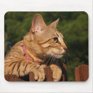Savannah Cat Mousepad