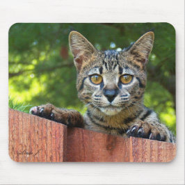Savannah Cat Mousepad