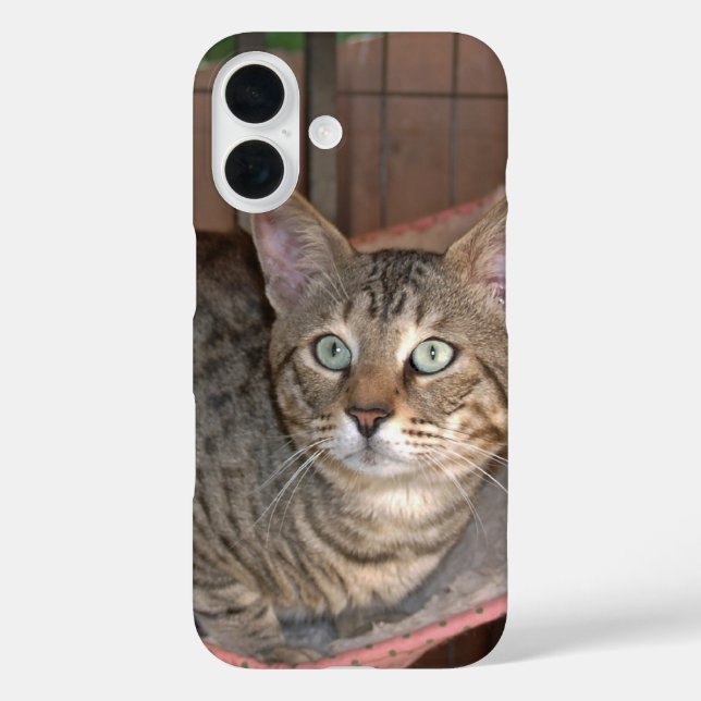 Savannah Cat Phone Case (Rückseite)
