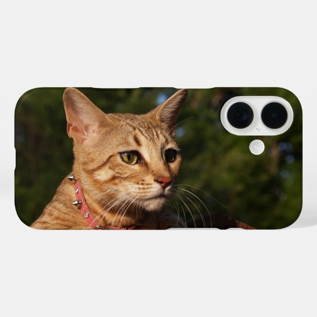 Savannah Cat Phone Case (Rückseite (Horizontal))