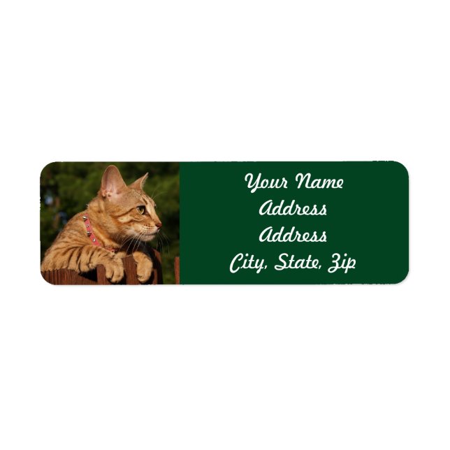 Savannah Cat Rücksendeadresse Sticker (Vorne)