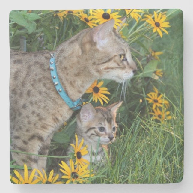 Savannah Cat Square Untersetzer (Vorderseite)