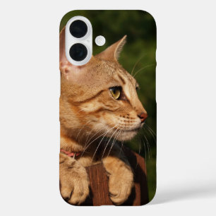 Savannah coque iphone