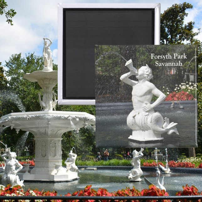 Savannah Georgia Forsyth Park Fountain Magnet (Von Creator hochgeladen)