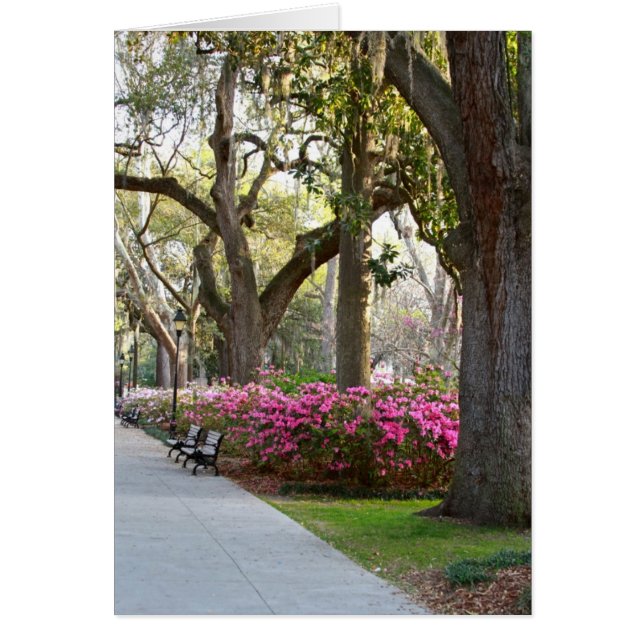 Savannah Georgia im Spring Forsyth Park Azaleas Oa (Vorne)