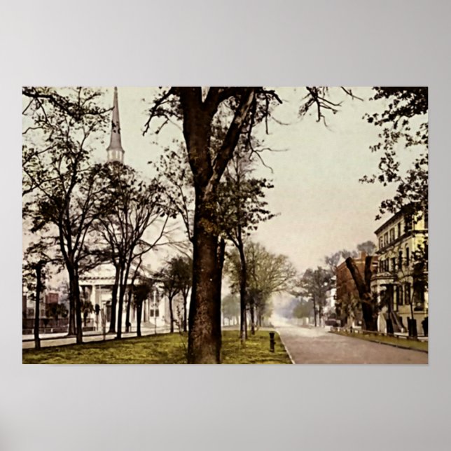 Savannah, Georgia Oglethorpe Avenue Poster (Vorne)