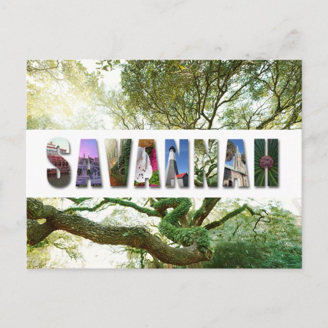 Savannah Georgia Southern Live Oak Tree Postkarte (Vorderseite)