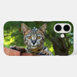Savannah-Katzen-Handyhülle iPhone 16 Hülle