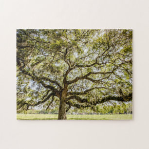 Savannah Mighty Oak Souvenir Challenging Puzzle