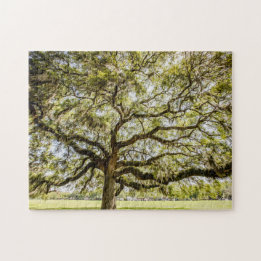 Savannah Mighty Oak Souvenir Herausforderung Puzzl