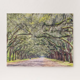 Savannah Oaks à Wormsloe Challenging Puzzle