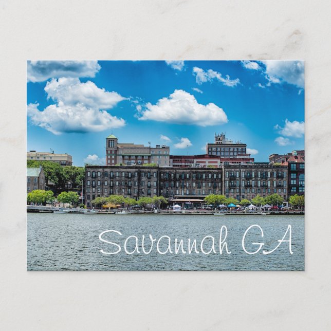 Savannah Postkarte (Vorderseite)