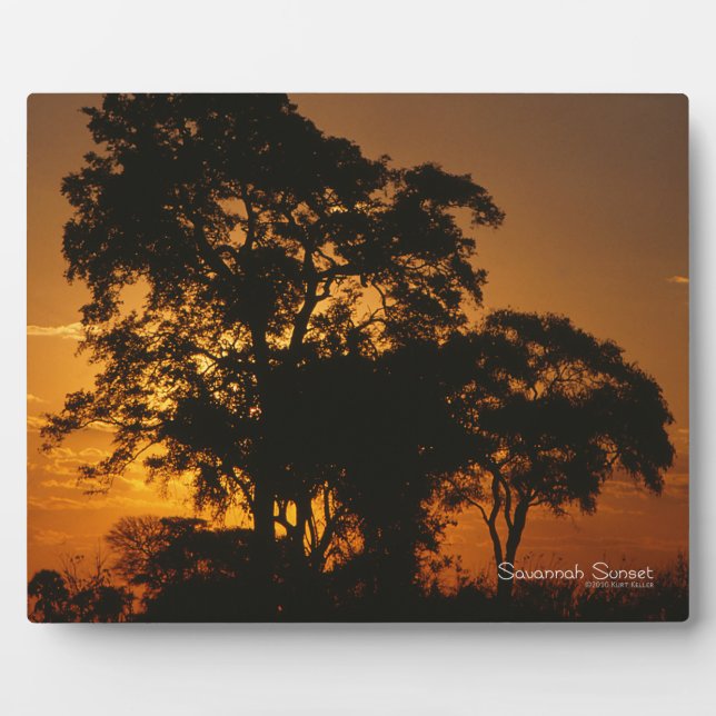 Savannah Sunset Fotoplatte (Vorderseite)