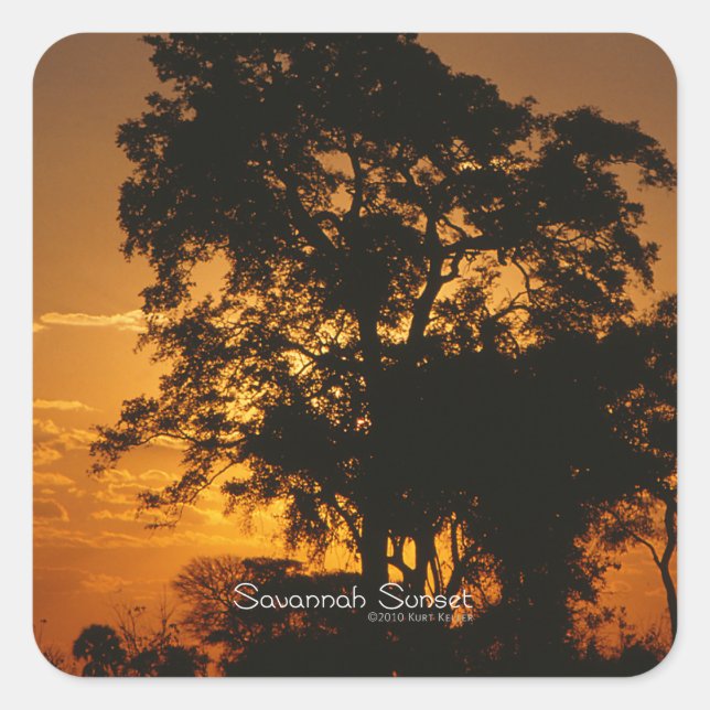 Savannah Sunset Quadratischer Aufkleber (Vorderseite)