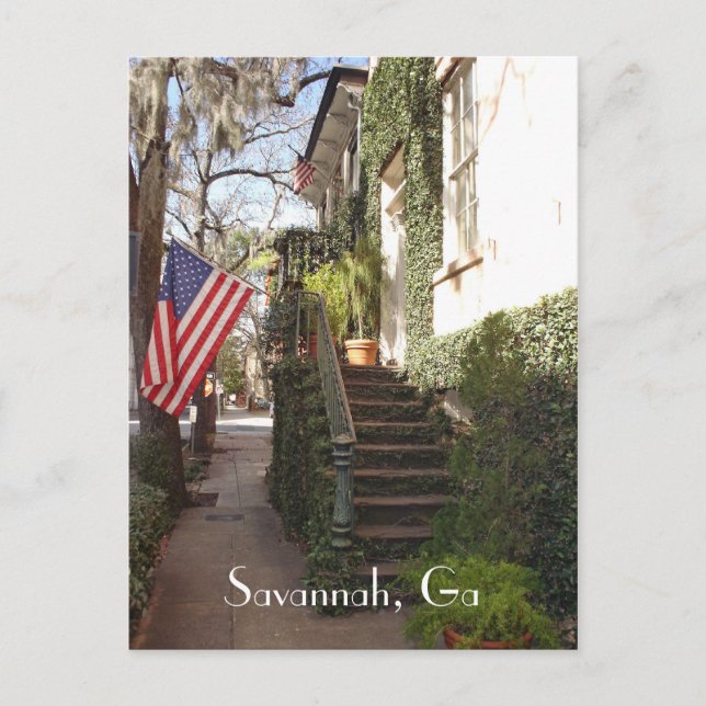 Savannah Treaircase Postcard Postkarte (Vorderseite)