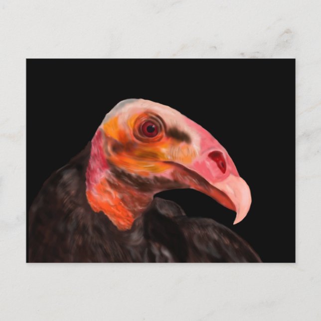 Savannah Vulture Postkarte (Vorderseite)