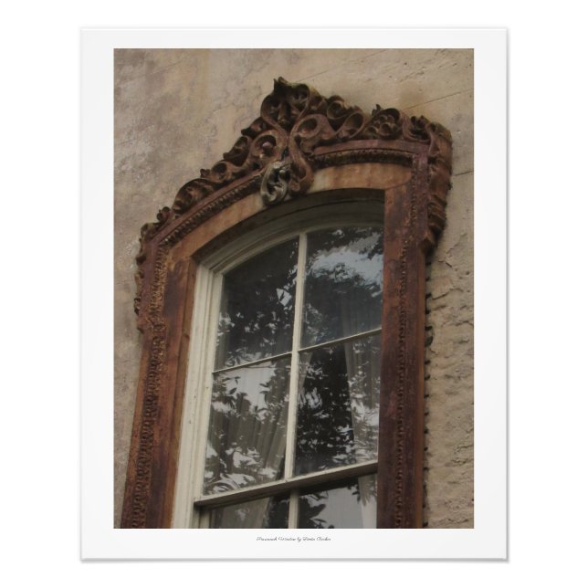 Savannah Window von Linda Becker Fotodruck (Vorne)