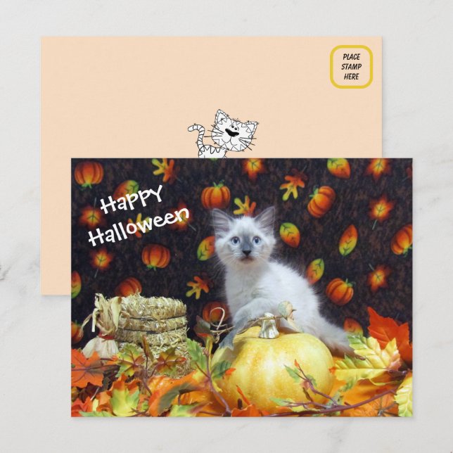 Savannahs Halloween-Postkarte - Siamesen Katze Pic Postkarte (Vorne/Hinten)