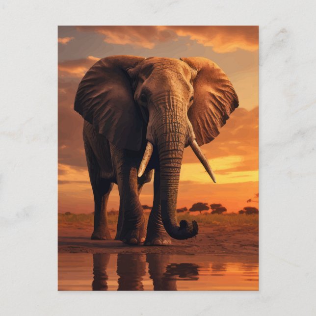 Savannahs Majesty Postkarte (Vorderseite)