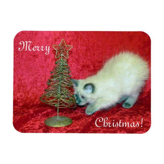 Savannahs Weihnachtsmagnet - Katze / Kitten Magnet (Horizontal)
