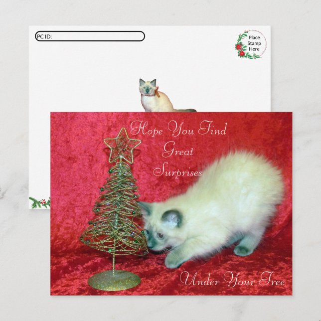 Savannahs Weihnachtsüberraschung - balinesische Ka Postkarte (Vorne/Hinten)
