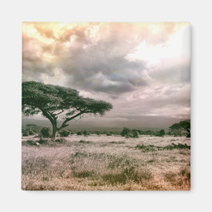 Savanne-Nationalpark Afrikaner-Saharas Serengeti Magnet