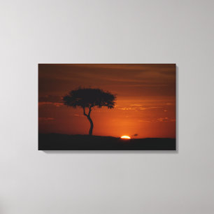 Savanne-Sonnenuntergang Leinwanddruck
