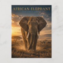 Savanne-Tiere des afrikanischen Elefanten