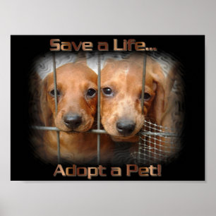 Save a Life Adopt a Pet poster