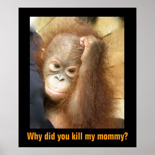Save Endangered Wildlife Orphan Orangutan Poster (Vorne)