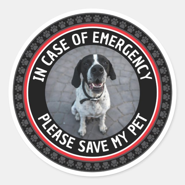 SAVE MY PET Safety Alert Custom Photo Modern  Runder Aufkleber (Vorderseite)