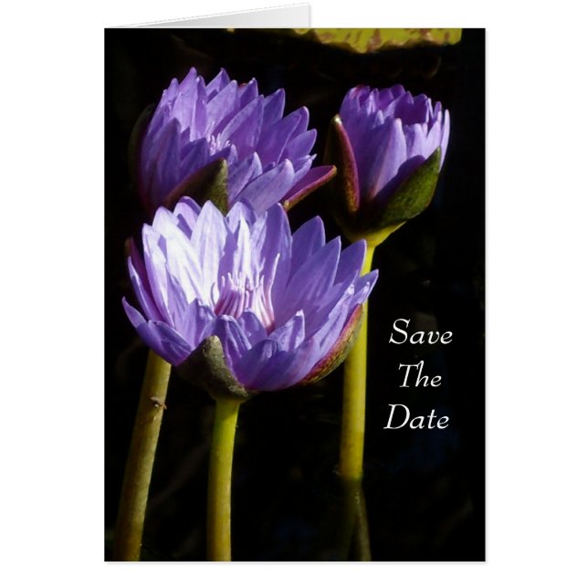 Save The Date (Vorne)