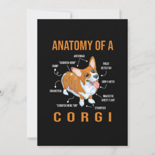 Save The Date Anatomie d'un chien de Corgi Funny