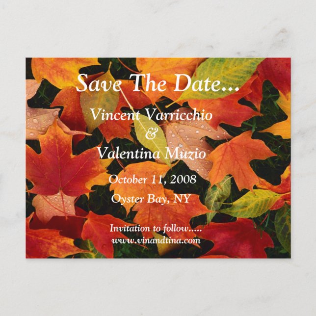 Save The Date Ankündigungspostkarte (Vorderseite)