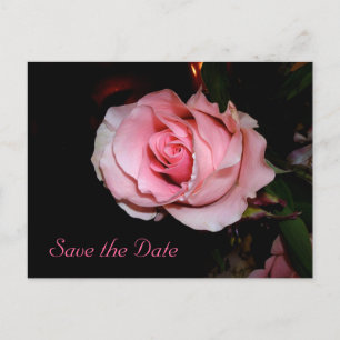 Save the Date Ankündigungspostkarte