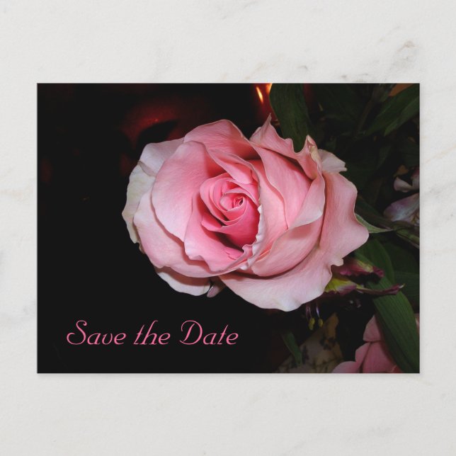 Save the Date Ankündigungspostkarte (Vorderseite)