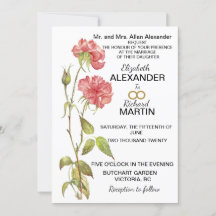 Aquarelle carnation rose