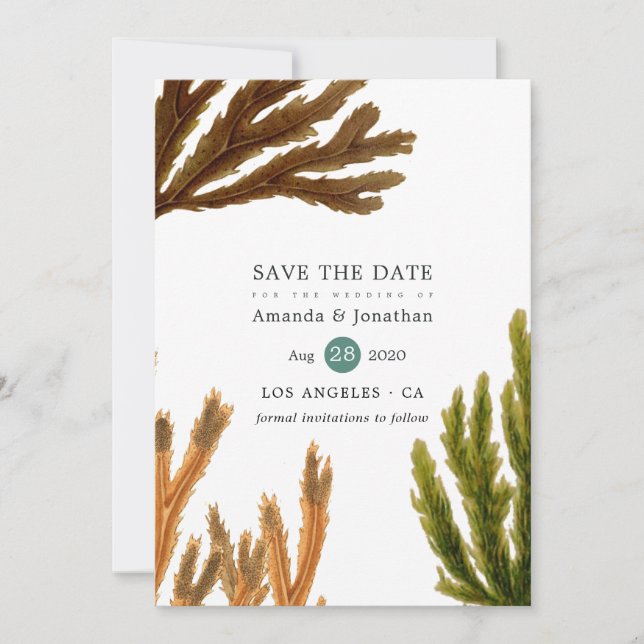 Save The Date Aquarelle Plage d'algues Mariage à thème (Devant)