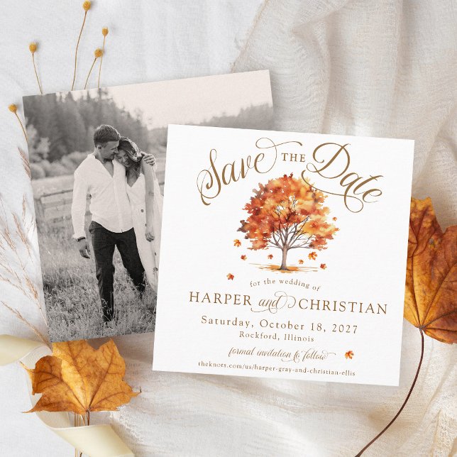 Save The Date Arbre simple aux feuilles d'automne Photo moderne  (Elegant modern script rustic watercolor fall leaf tree simple square photo wedding save the date)