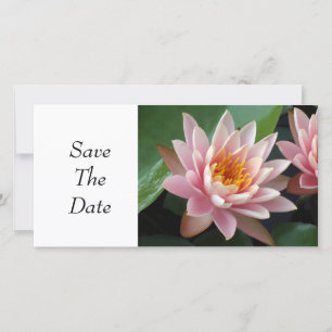Save The Date Beauté de Nénuphar
