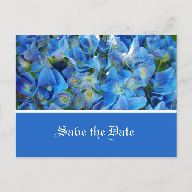Save the Date, blaue Hydrangea-Blume Ankündigungspostkarte (Vorderseite)
