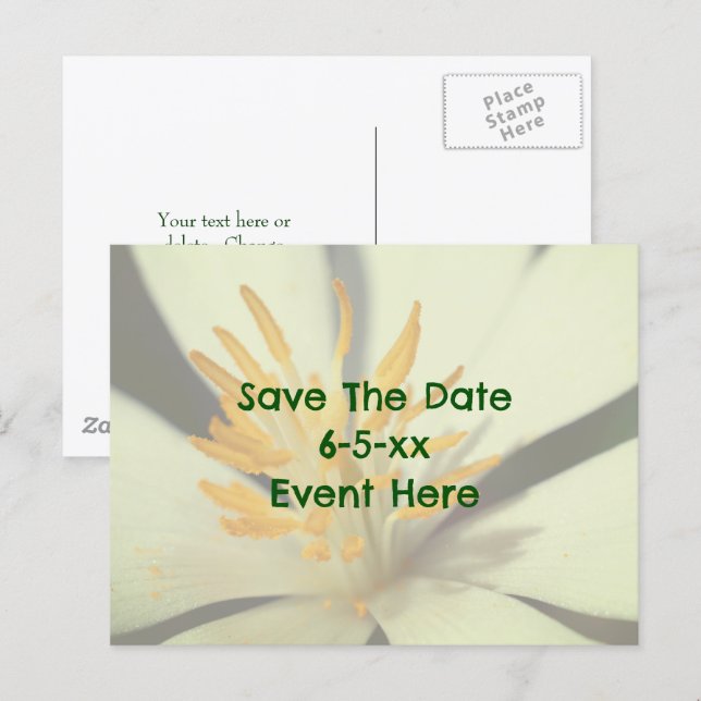 Save The Date Bloodroot Flower  Ankündigungspostkarte (Vorne/Hinten)