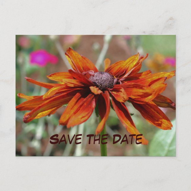 Save the Date Blumenfotografie Postkarte (Vorderseite)