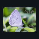 Save the Date Butterfly Wedding Magnet<br><div class="desc">Save the Date Spring Azure Butterfly Wedding Magnet</div>
