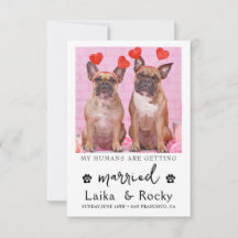 Carton d'invitation au mariage d'un chien drôle